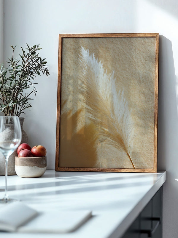 Pampasgras Beige Schatten