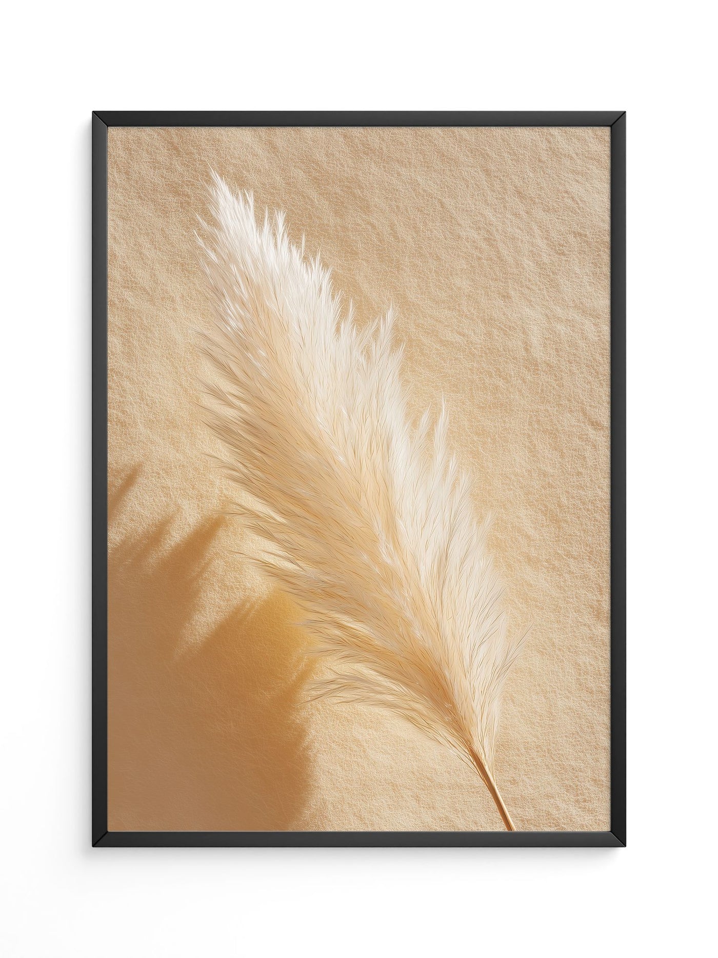 Pampasgras Beige Schatten