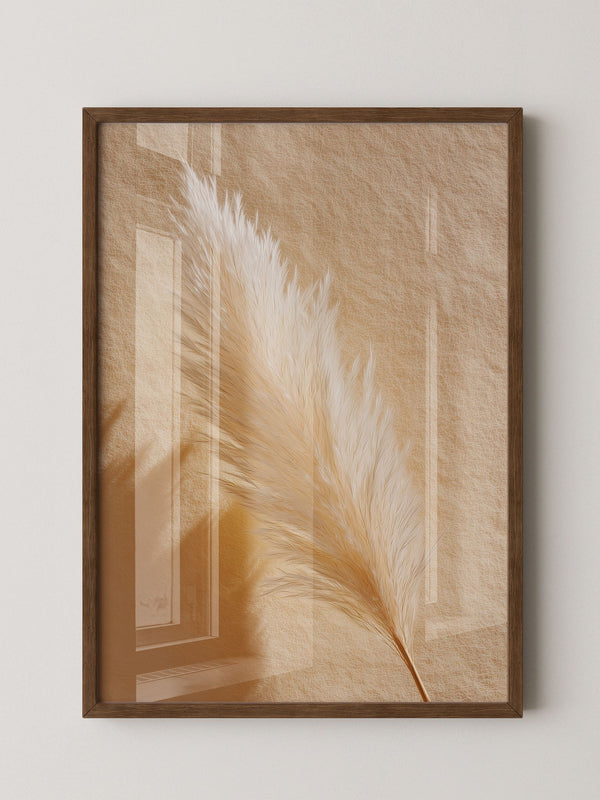 Pampasgras Beige Schatten