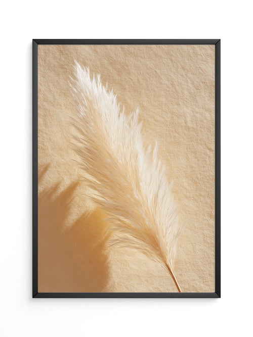 Pampasgras Beige Schatten