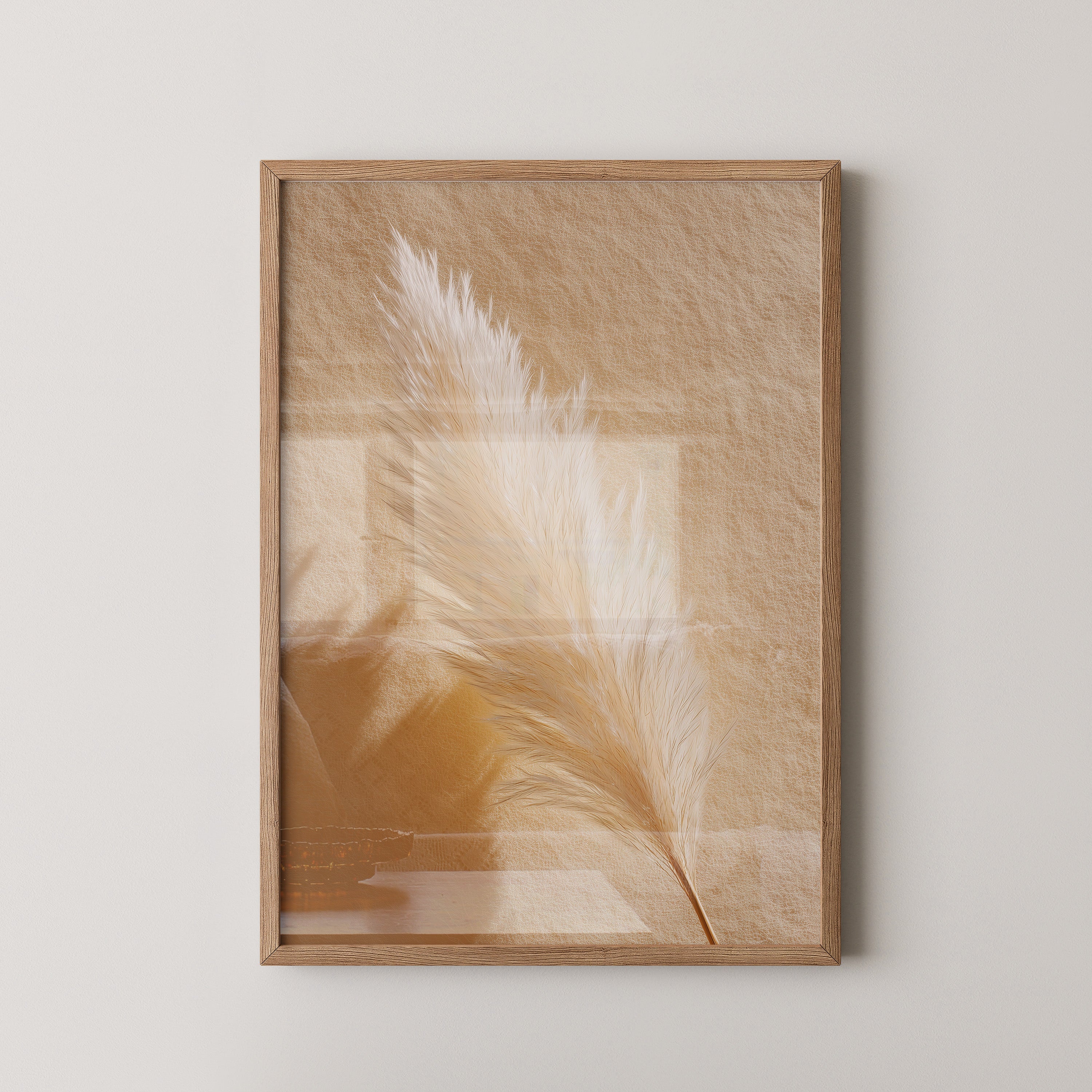 Pampasgras Beige Schatten