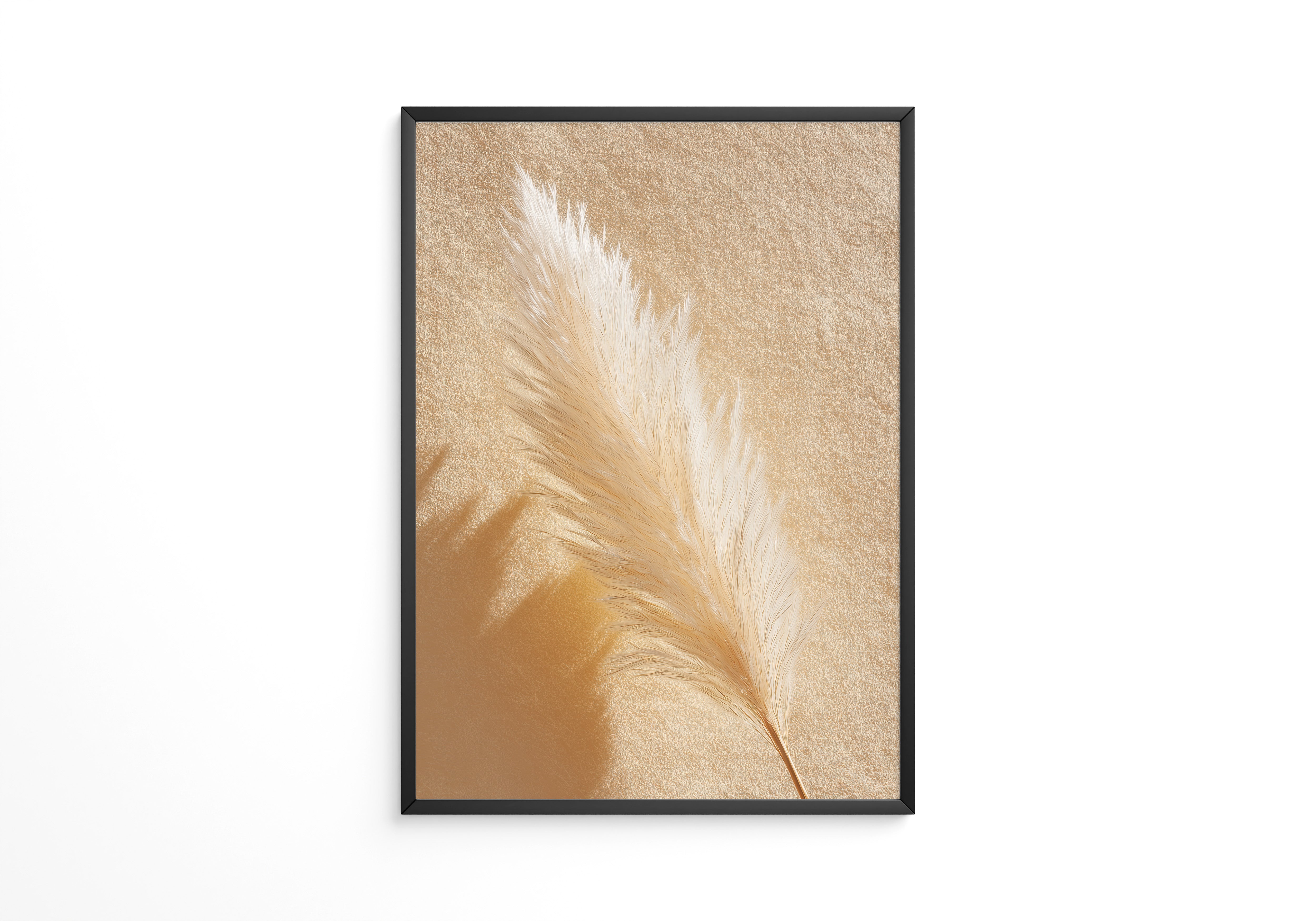 Pampasgras Beige Schatten