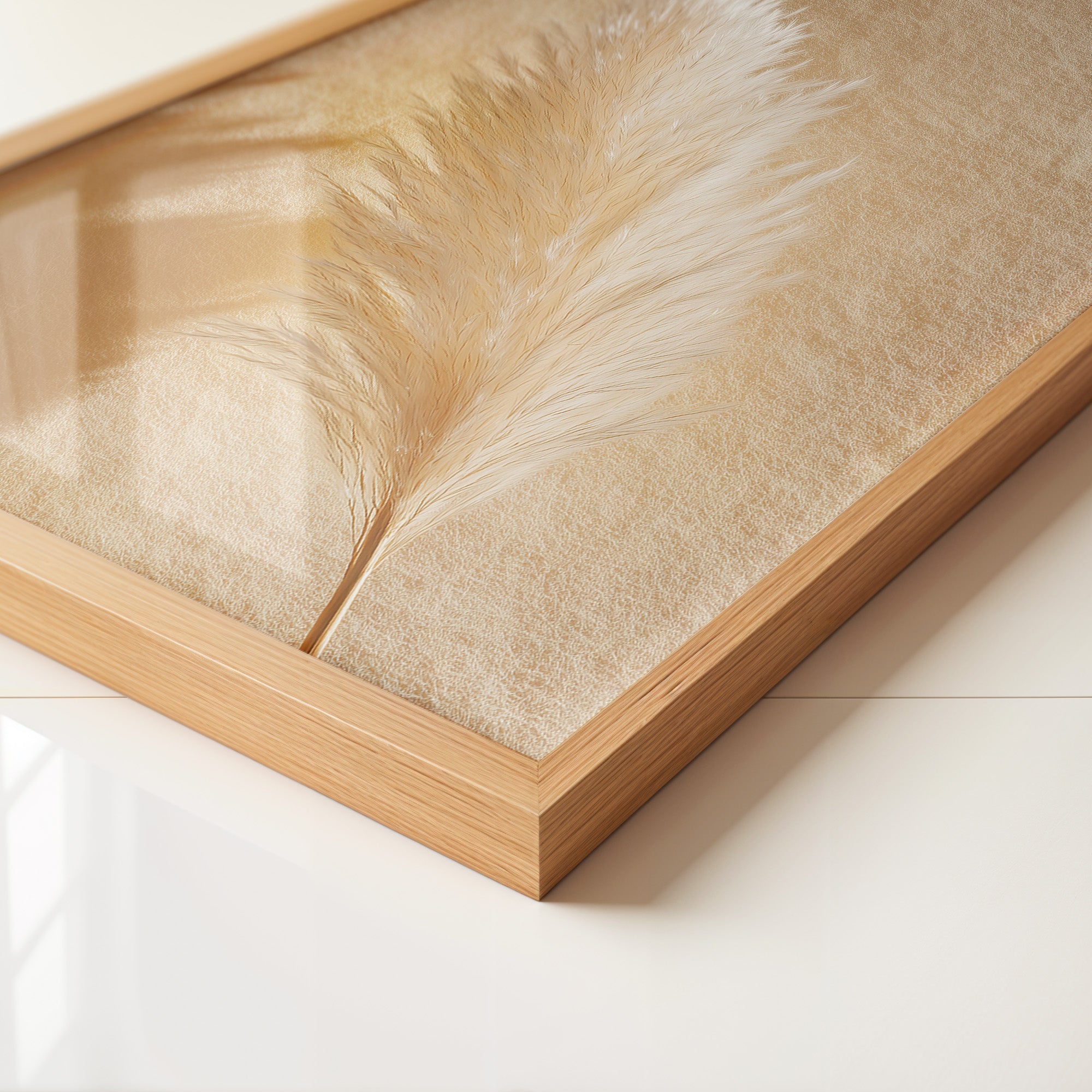 Pampasgras Beige Schatten