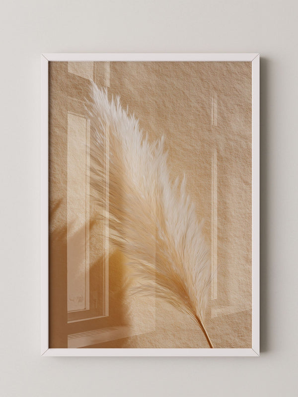 Pampasgras Beige Schatten
