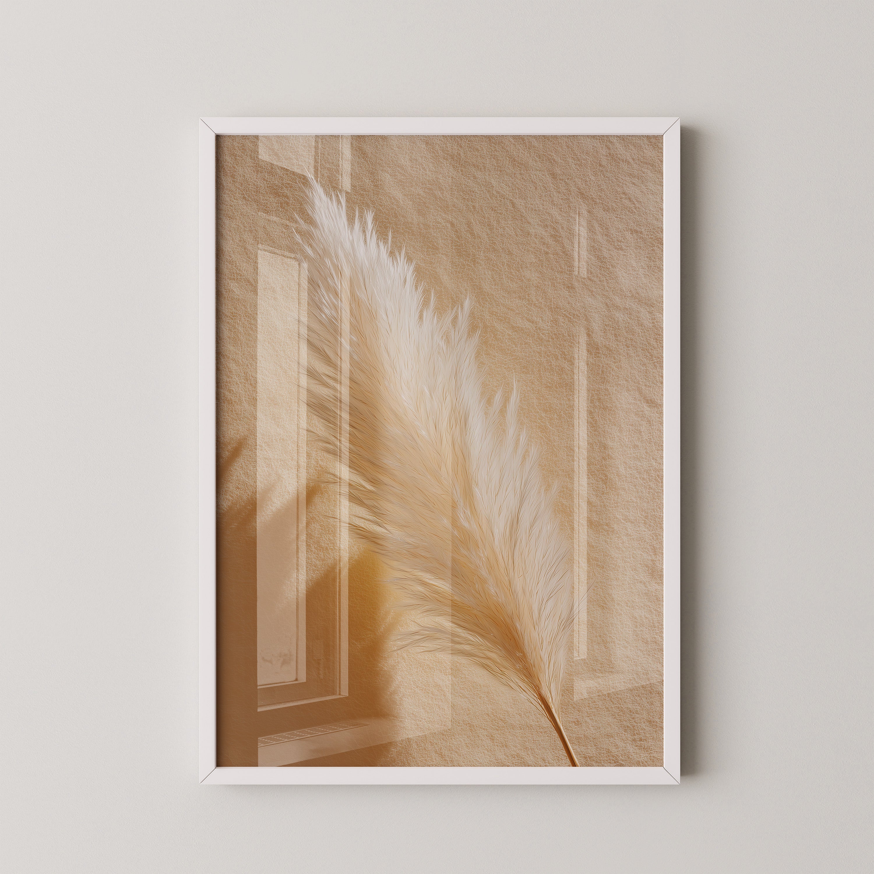 Pampasgras Beige Schatten