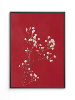 Weiße Blüten rot Hintergrund