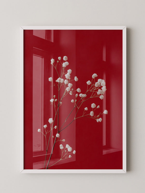 Weiße Blüten rot Hintergrund
