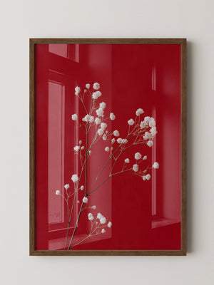 Weiße Blüten rot Hintergrund