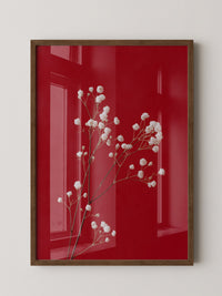 Weiße Blüten rot Hintergrund