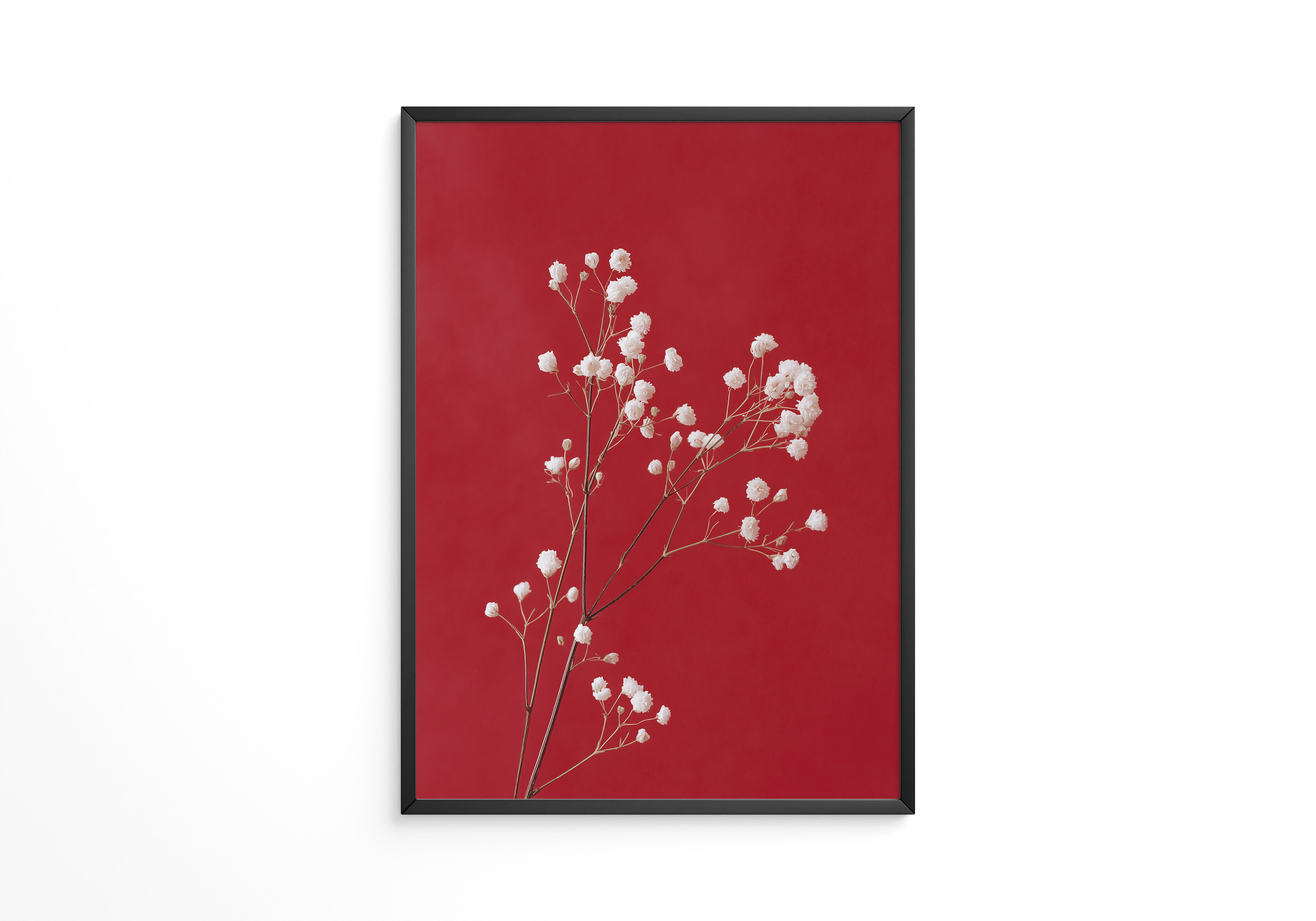 Weiße Blüten rot Hintergrund