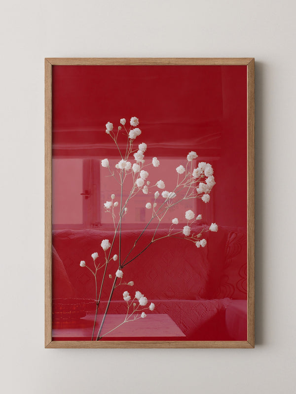 Weiße Blüten rot Hintergrund