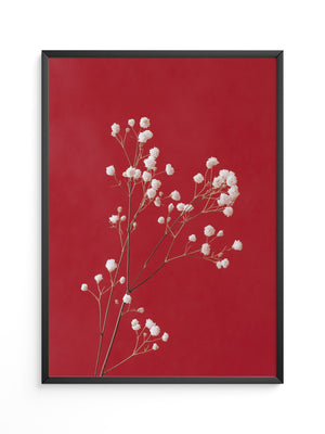 Weiße Blüten rot Hintergrund