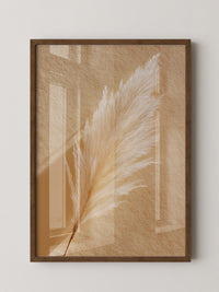 Pampasgras Beige Textur