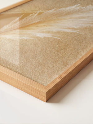 Pampasgras Beige Textur