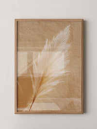 Pampasgras Beige Textur