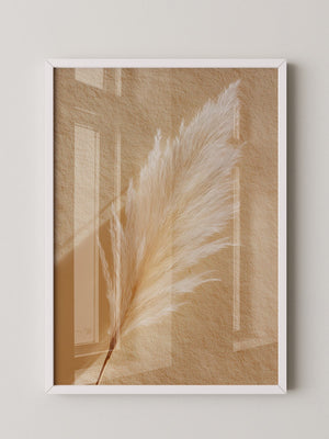 Pampasgras Beige Textur