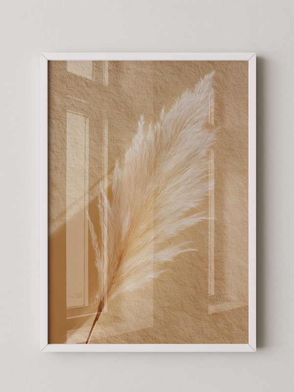 Pampasgras Beige Textur