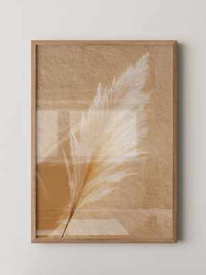 Pampasgras Beige Textur