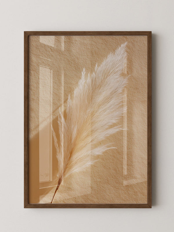 Pampasgras Beige Textur