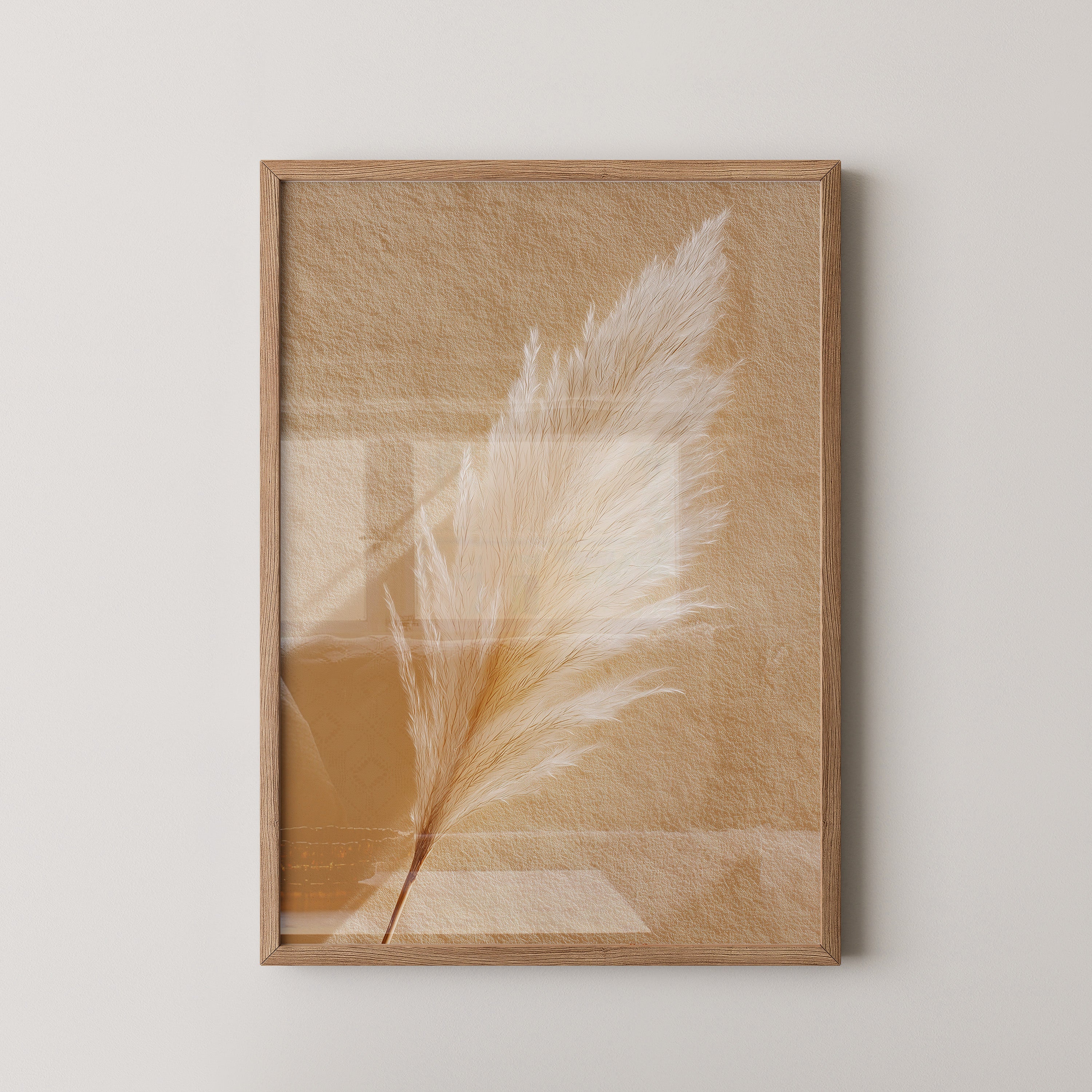 Pampasgras Beige Textur