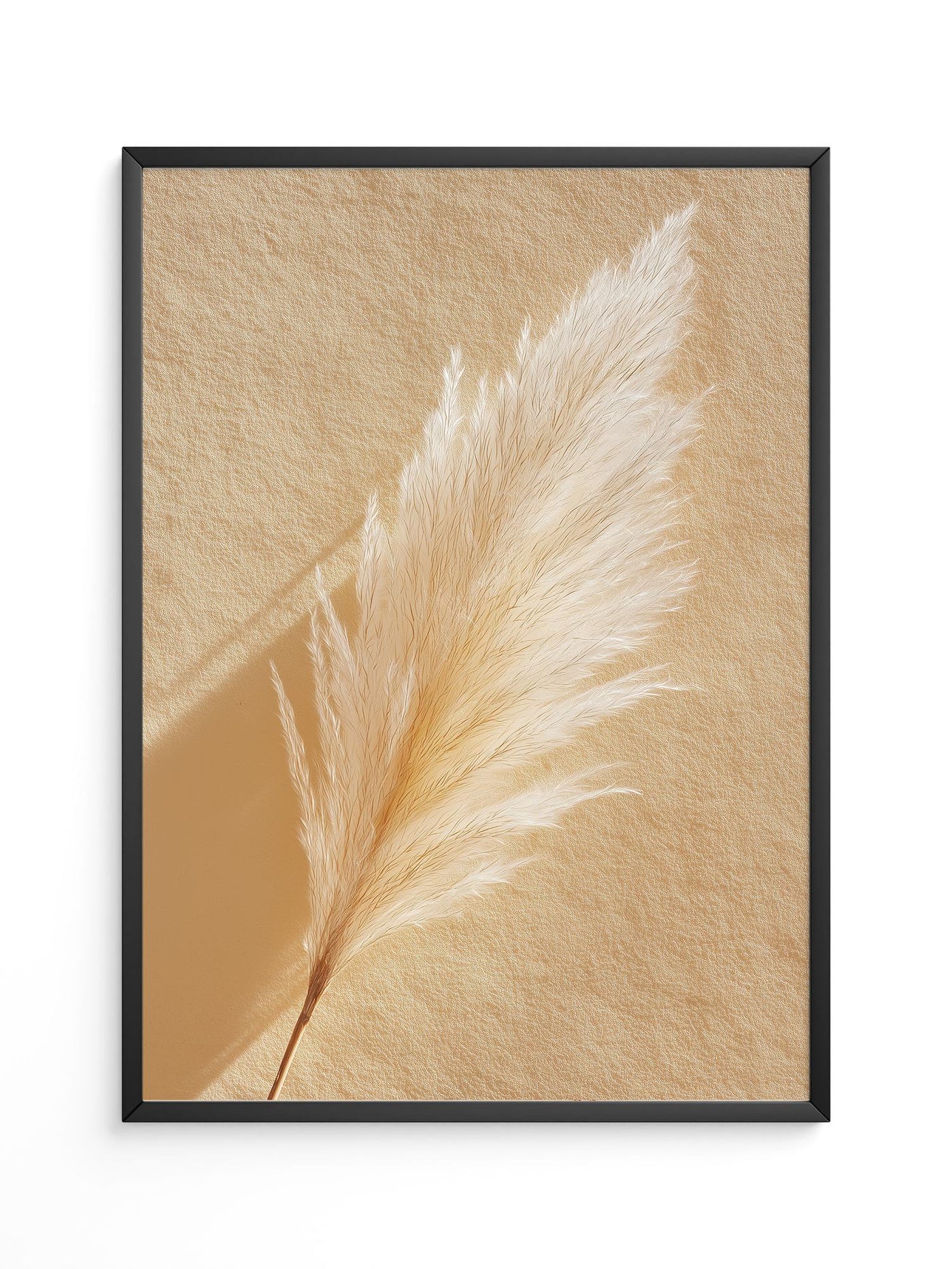 Pampasgras Beige Textur