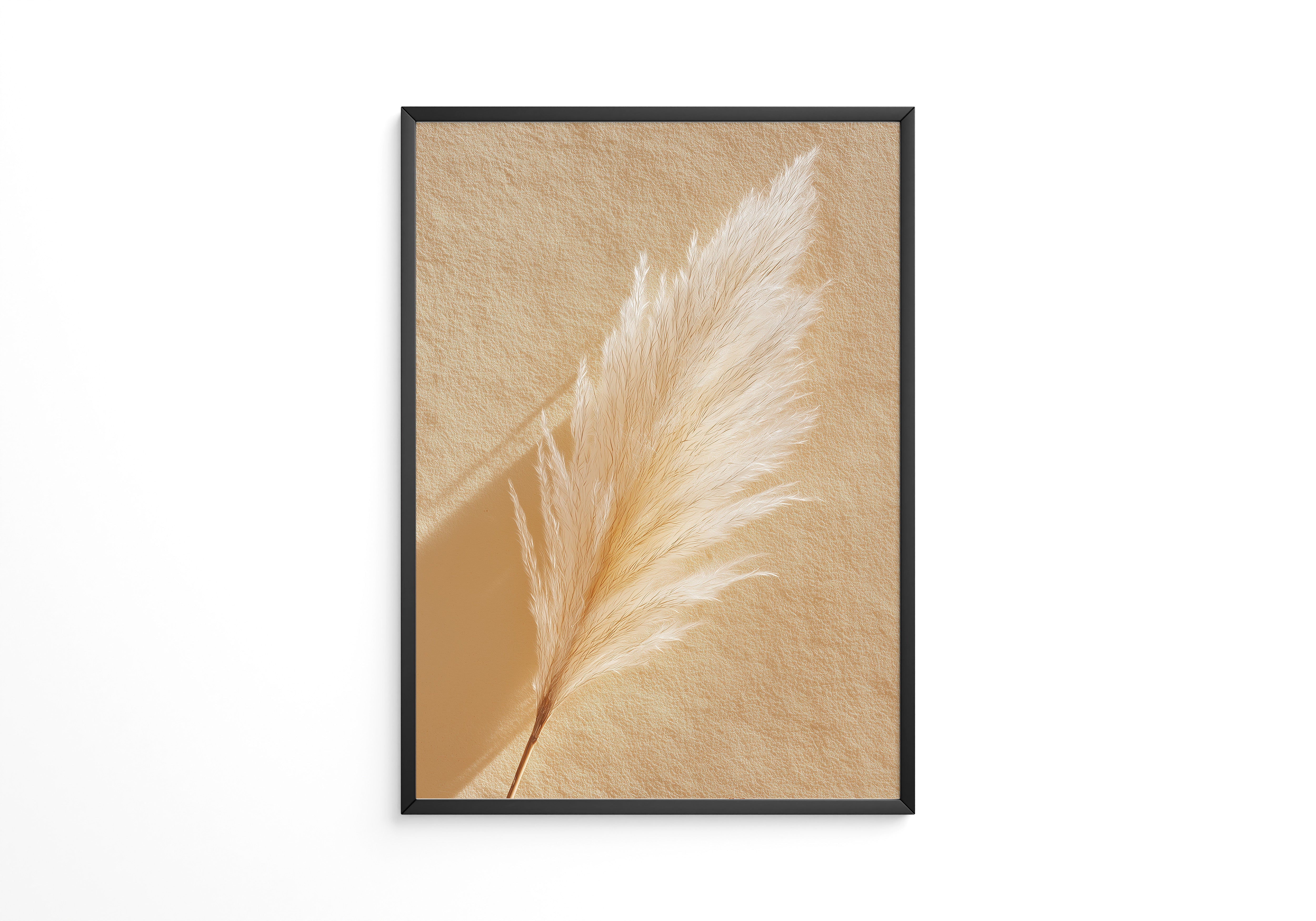 Pampasgras Beige Textur