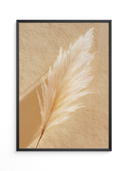 Pampasgras Beige Textur