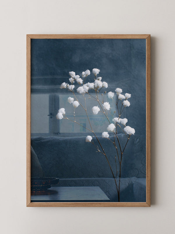 Weiße Blüten auf blauem Hintergrund