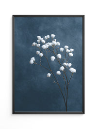 Weiße Blüten auf blauem Hintergrund