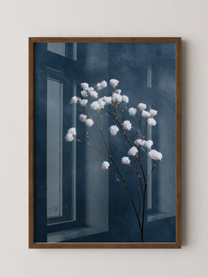 Weiße Blüten auf blauem Hintergrund