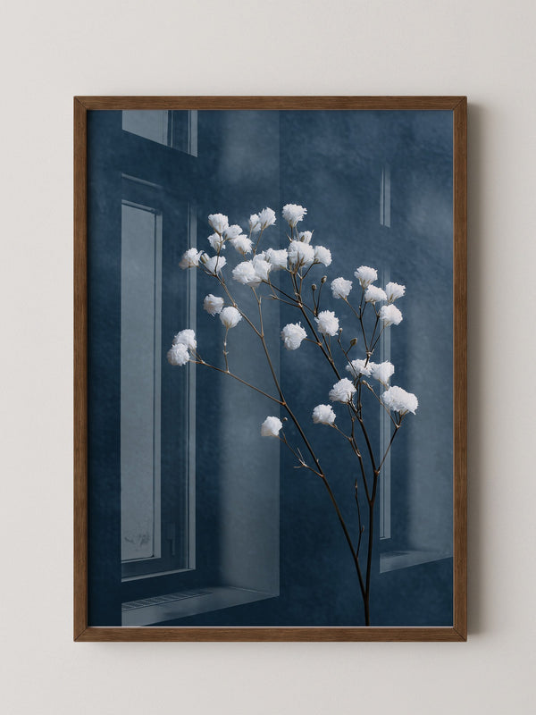 Weiße Blüten auf blauem Hintergrund