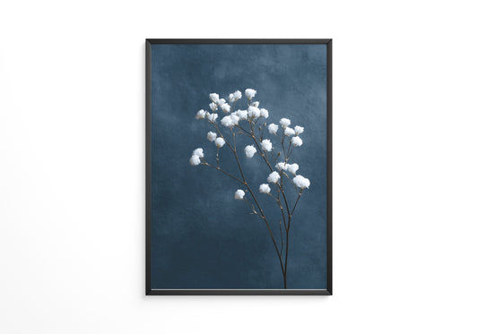 Weiße Blüten auf blauem Hintergrund