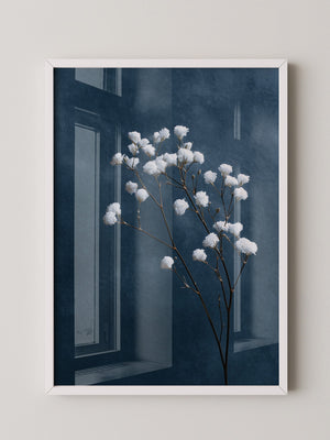 Weiße Blüten auf blauem Hintergrund