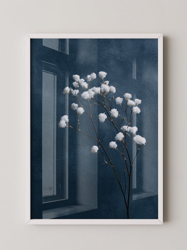 Weiße Blüten auf blauem Hintergrund