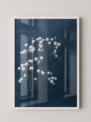 Schleierkraut Blaues Stillleben