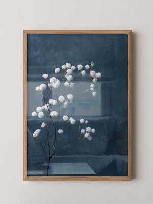 Schleierkraut Blaues Stillleben