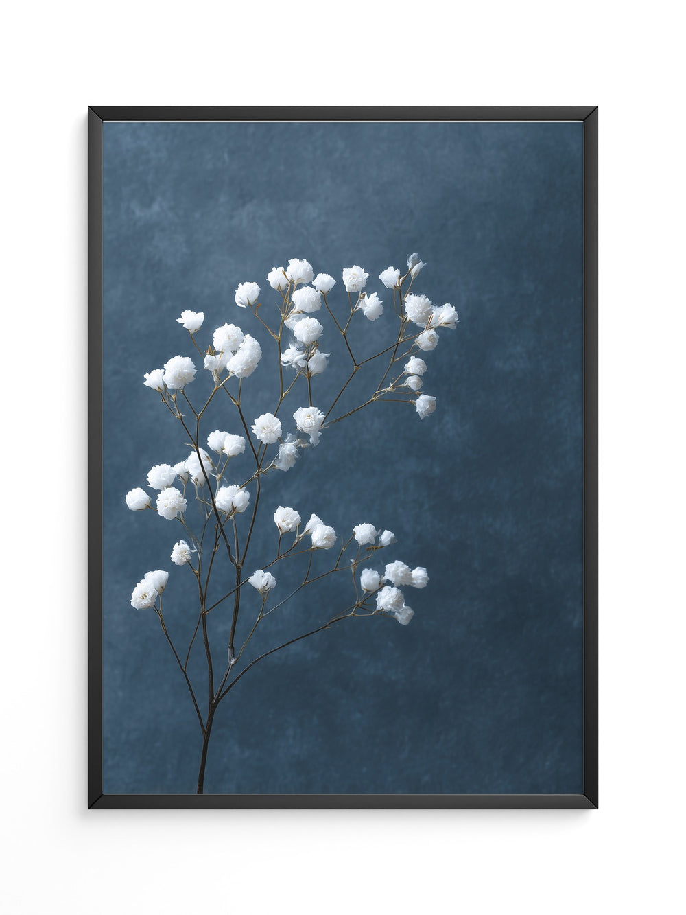 Schleierkraut Blaues Stillleben