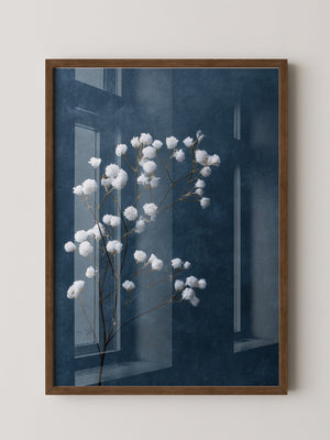 Schleierkraut Blaues Stillleben