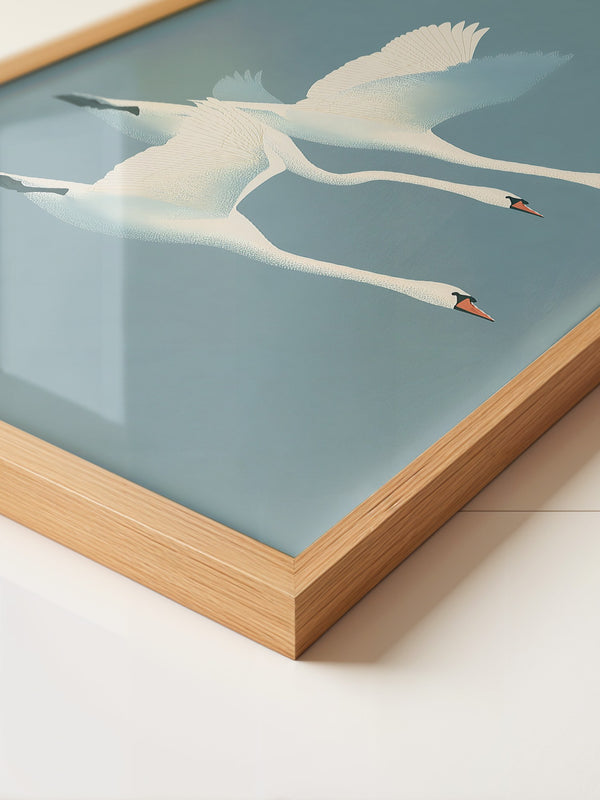 Schwäne Flug sanfte Farbtöne