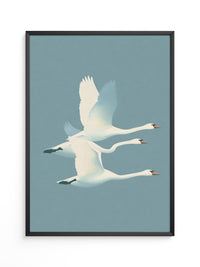 Schwäne Flug sanfte Farbtöne