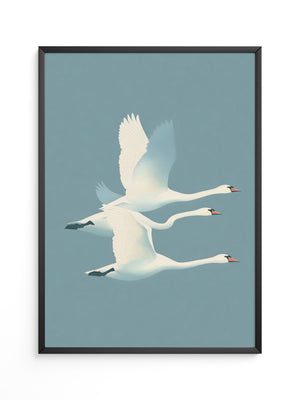 Schwäne Flug sanfte Farbtöne