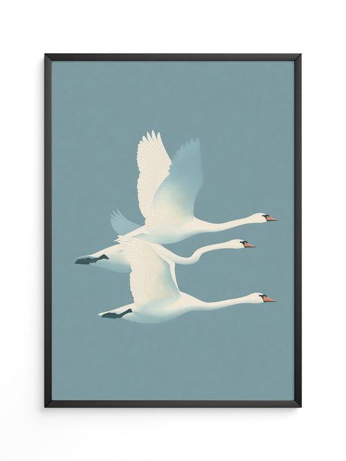 Schwäne Flug sanfte Farbtöne