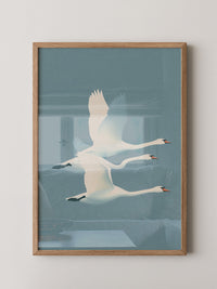 Schwäne Flug sanfte Farbtöne