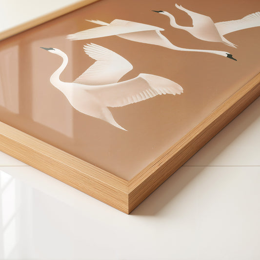 Schwan Flügelschlag Silhouette Braun