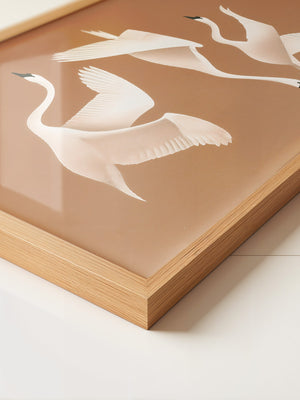 Schwan Flügelschlag Silhouette Braun