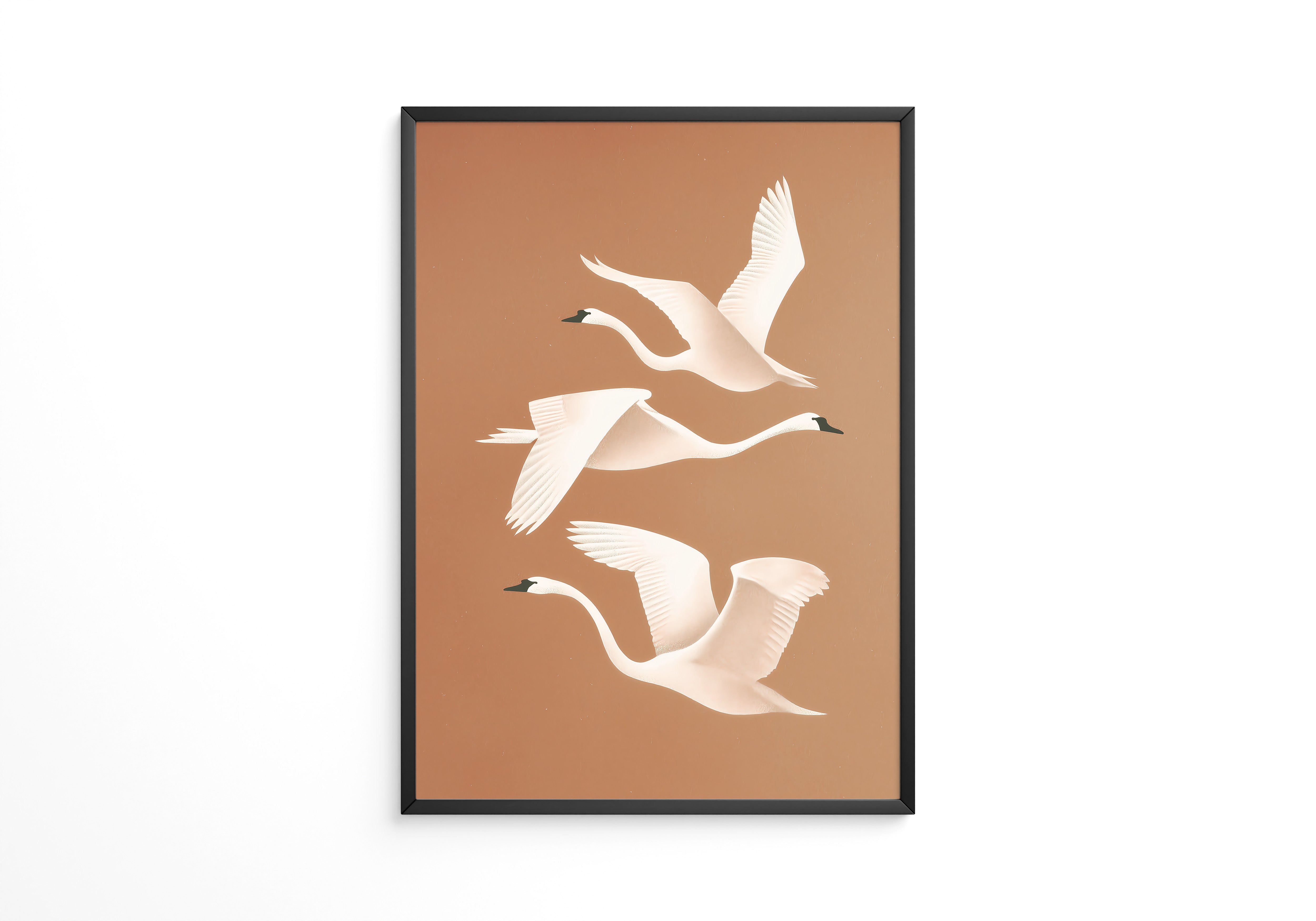 Schwan Flügelschlag Silhouette Braun