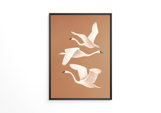 Schwan Flügelschlag Silhouette Braun