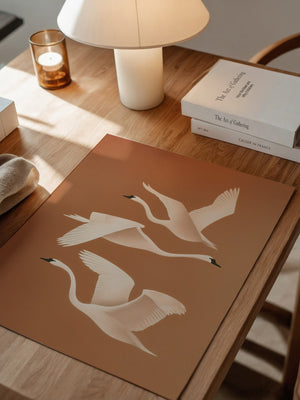 Schwan Flügelschlag Silhouette Braun