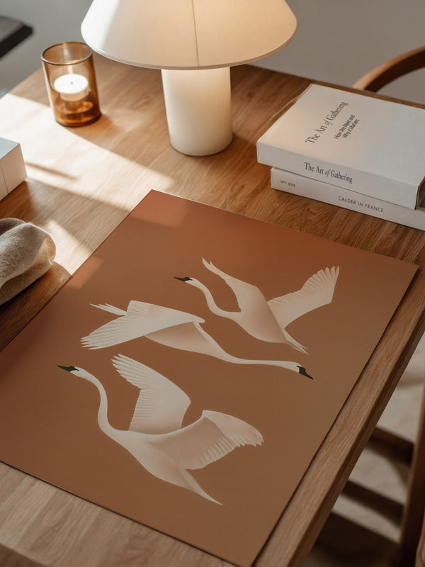 Schwan Flügelschlag Silhouette Braun