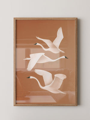 Schwan Flügelschlag Silhouette Braun